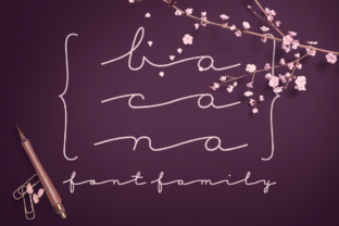 Bacana: A Versatile Display Font for Modern Web Design